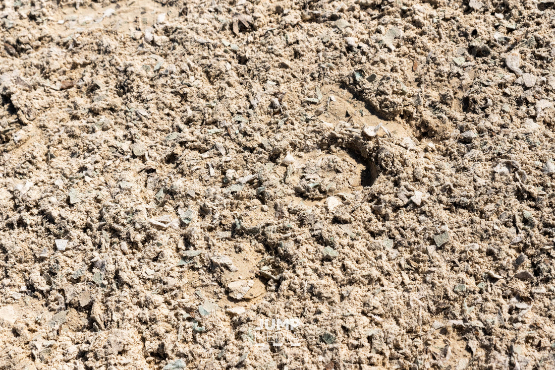 Arena Maintenance Planning: A Smarter Way to Budget for the Year