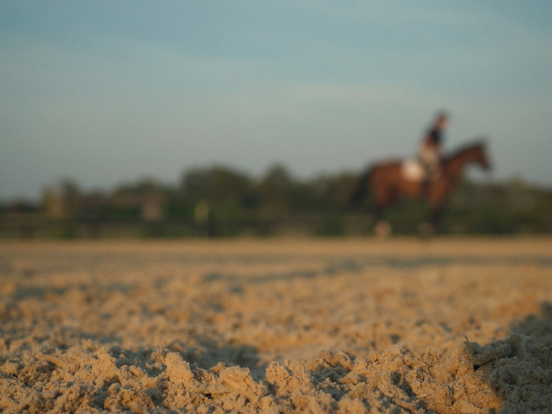 Arena Traffic Matters: How Usage Impacts Your Footing More Than You Think