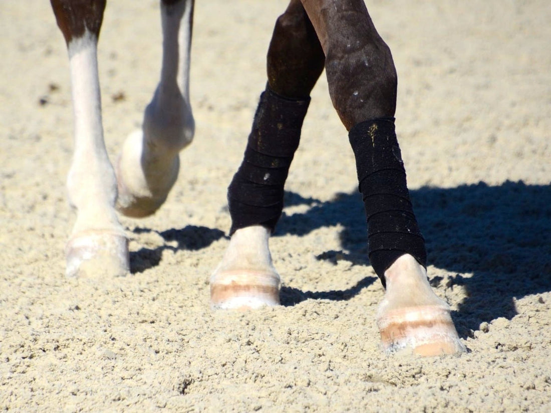 Renovating an Existing Arena vs Building a New One